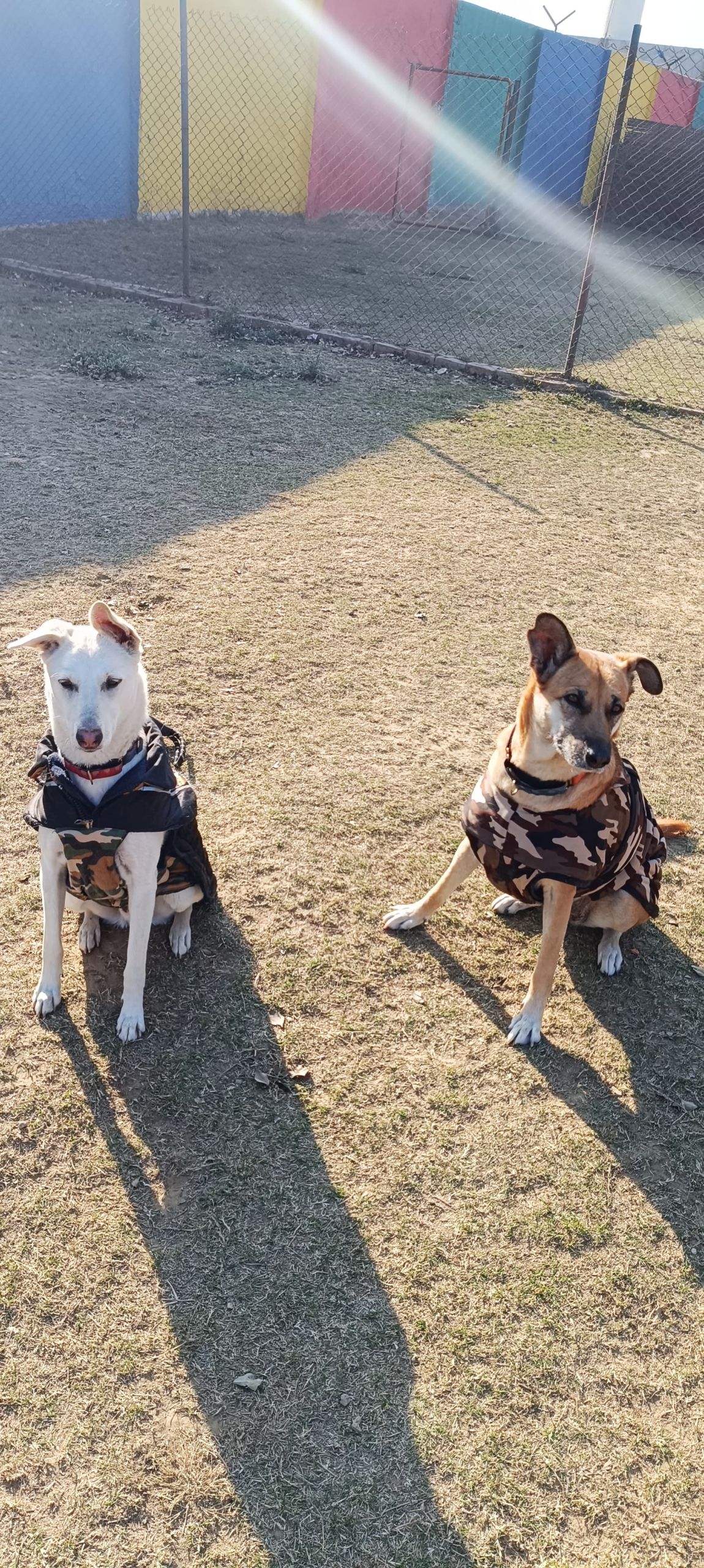 RnP Parent Speak | Spud and Jinjoo