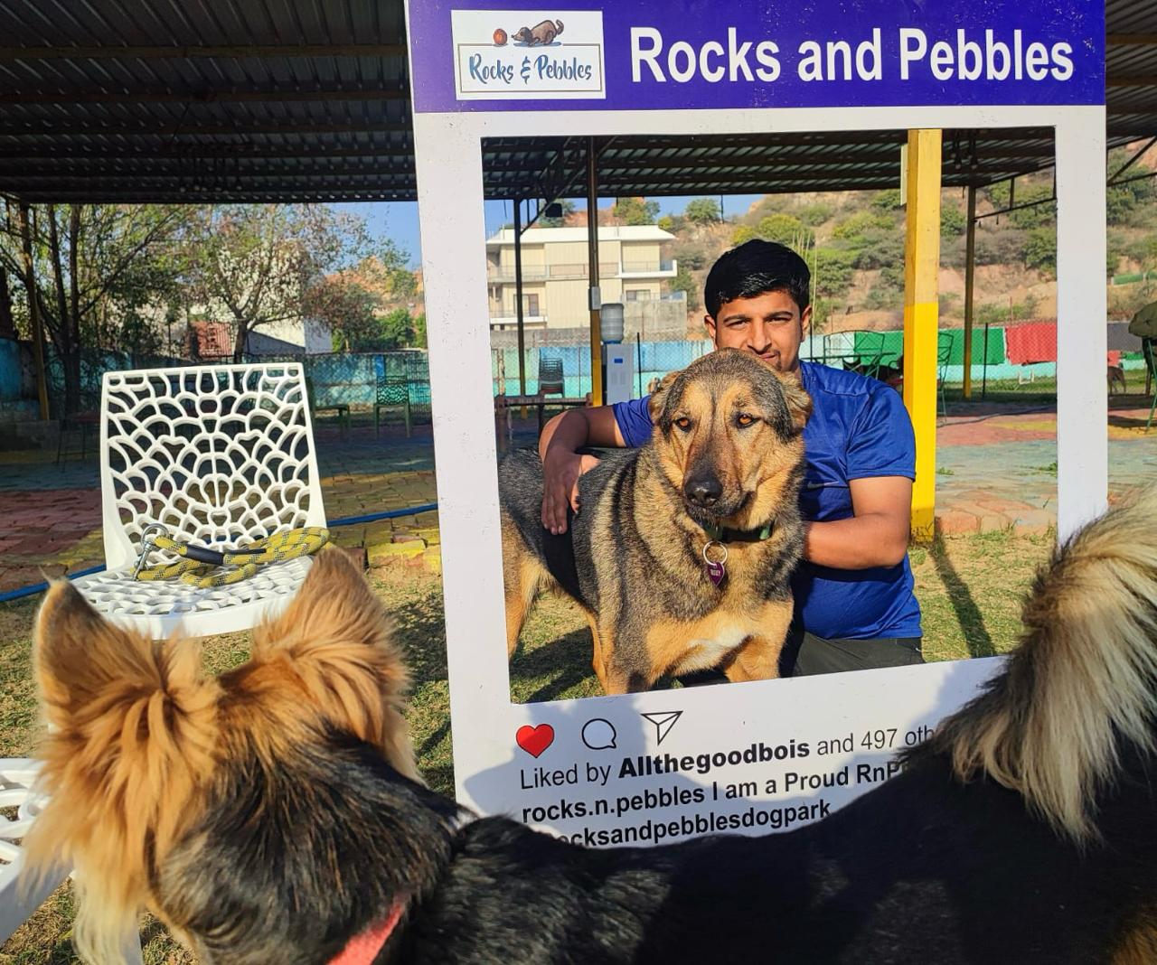 RnP Parent Speak | Roxy, RnP Mountain Goat